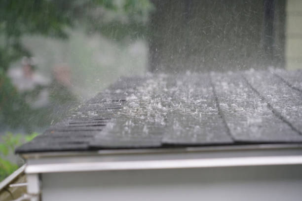 Best Storm Damage Roof Repair  in North Kensington, MD